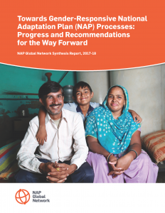 Report: Recommendations for more gender-responsive NAPs - NAP Global Network