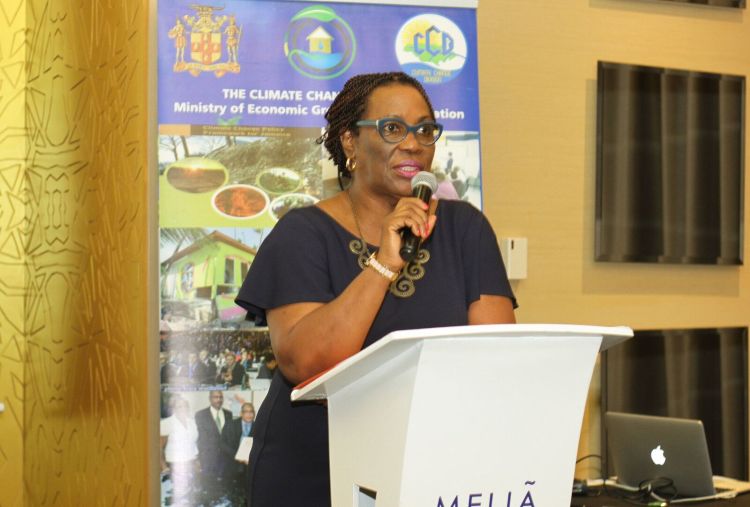 UnaMay Gordon, Principal Director of the Climate Change Division in the Ministry of Economic Growth and Job Creation: “It’s not just about putting women on the agenda."