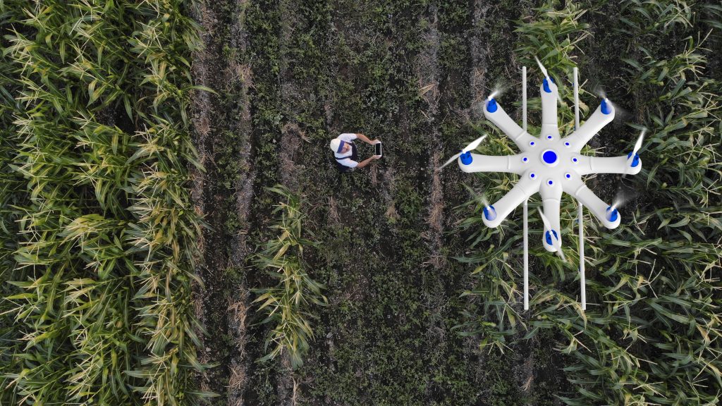 Agricultor rociando sus cultivos con un dron