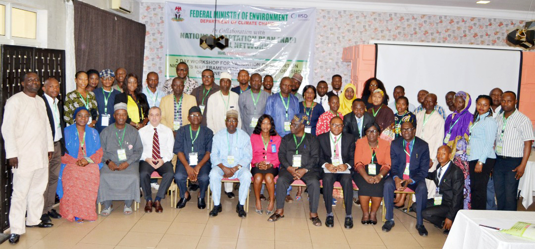 Participantes del Taller de Validación del Marco NAP en Abuja.