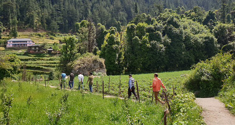 Cinq hommes marchant dans une ferme en Inde rurale.