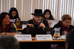 Peruvian chola during a maating on the Indigenous Climate Platform