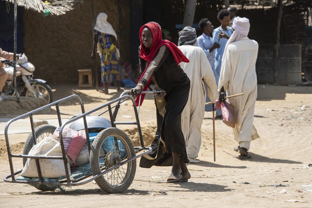 Bitkine, Tchad - 20,2020 février XNUMX : une femme transporte des marchandises avec un chariot à pousser dans la ville surpeuplée de Bitkine, qui est une place commerciale importante dans le centre du Tchad.
