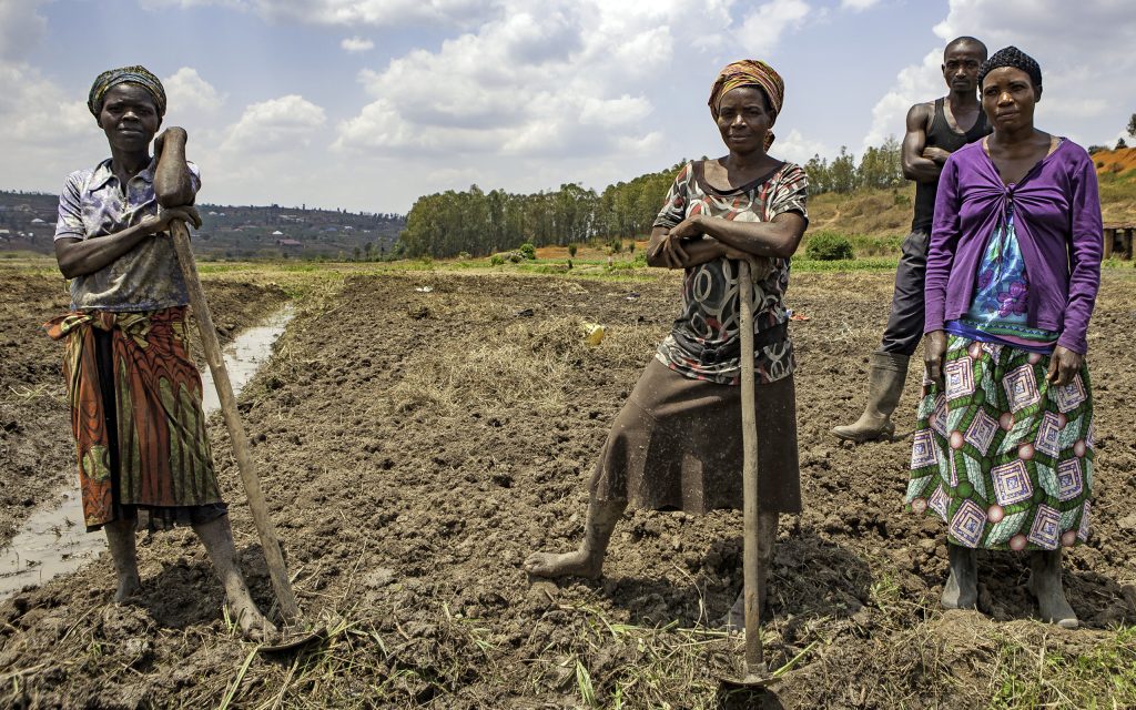 Muyumbu, Rwanda - 14 septembre 2016 : un groupe de petits agriculteurs debout sur leur parcelle. Plus de 50 millions de petits exploitants agricoles d'Afrique subsaharienne sont enfermés dans des cycles annuels de faim parce qu'ils sont incapables de produire suffisamment de nourriture pour nourrir leur famille.