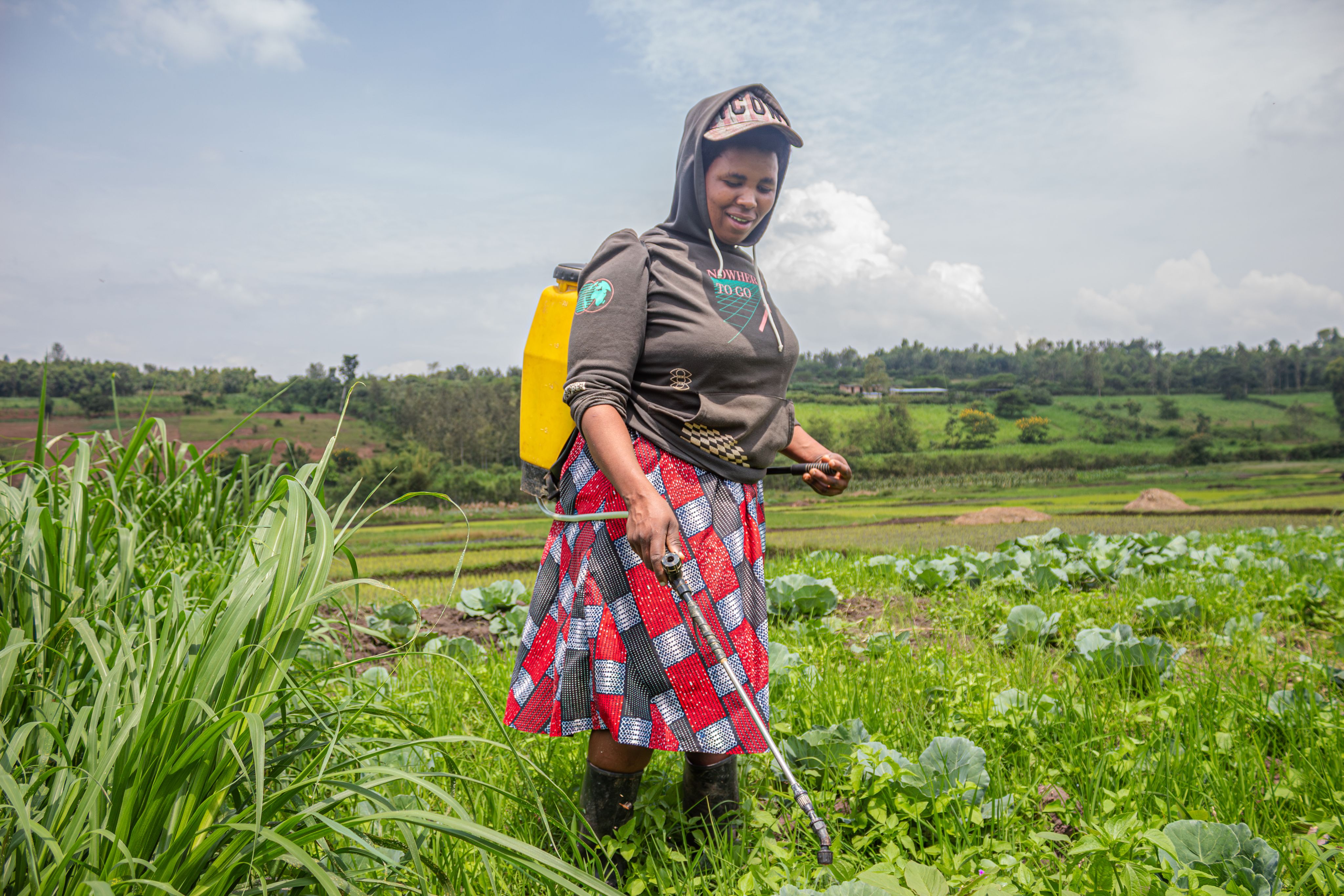 A farmer sprays pesticide on crops in a field.