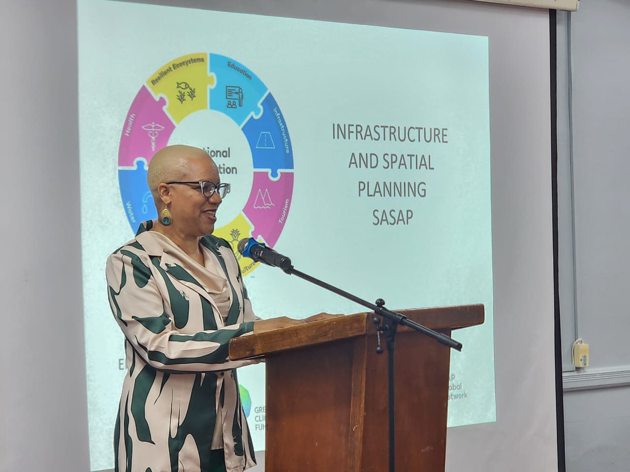 Dawn Pierre-Nathoniel, Chief Sustainable Development and Environment Officer, Department of Sustainable Development, sharing remarks during Saint Lucia’s focus sessions.