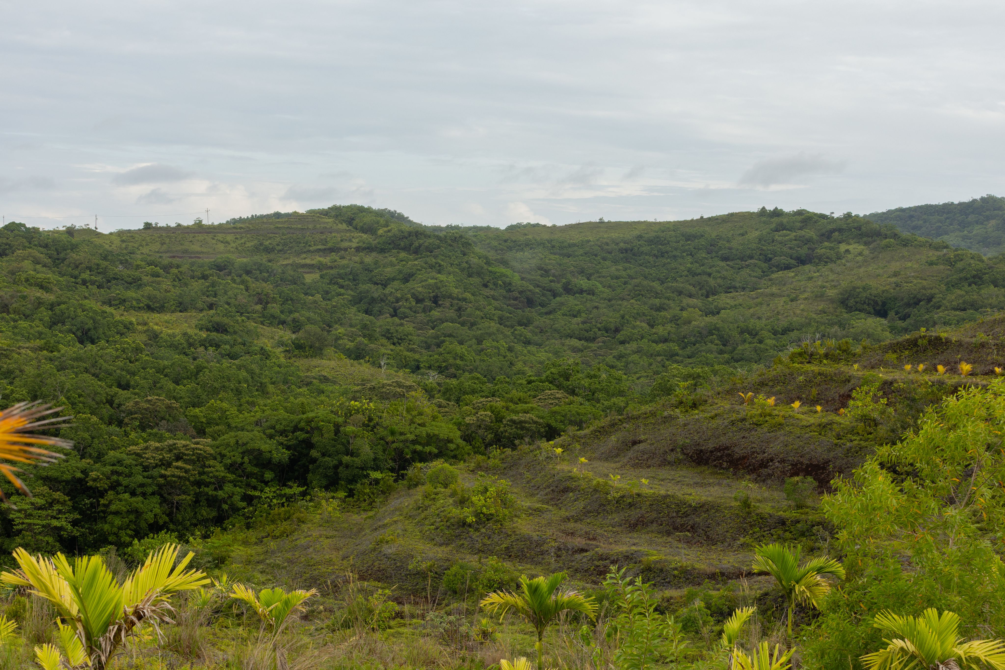 A green hill that use to be an old mining operation. 