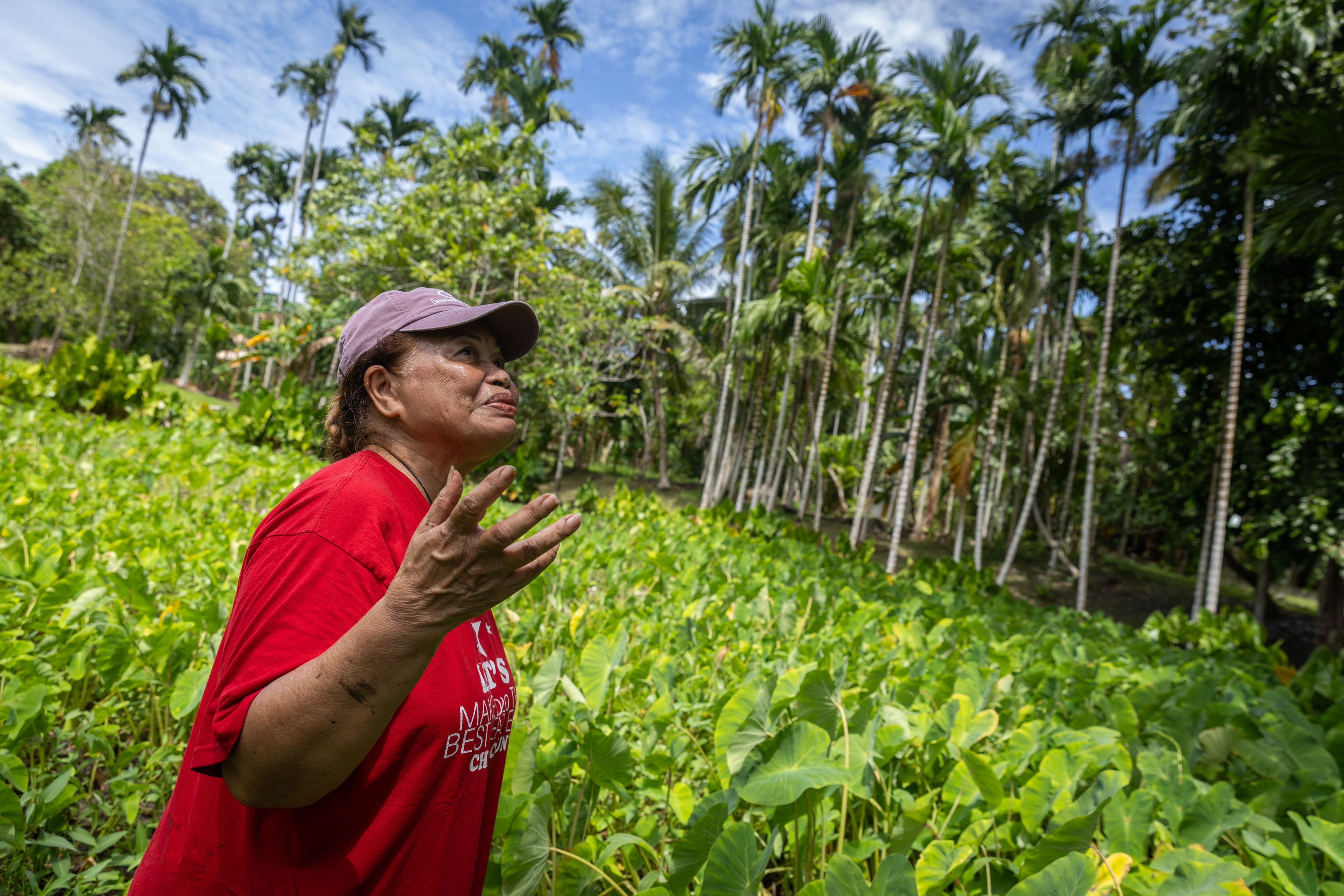 A women wearing a red shirt stands in a green field looks up to a clear blue sky.
