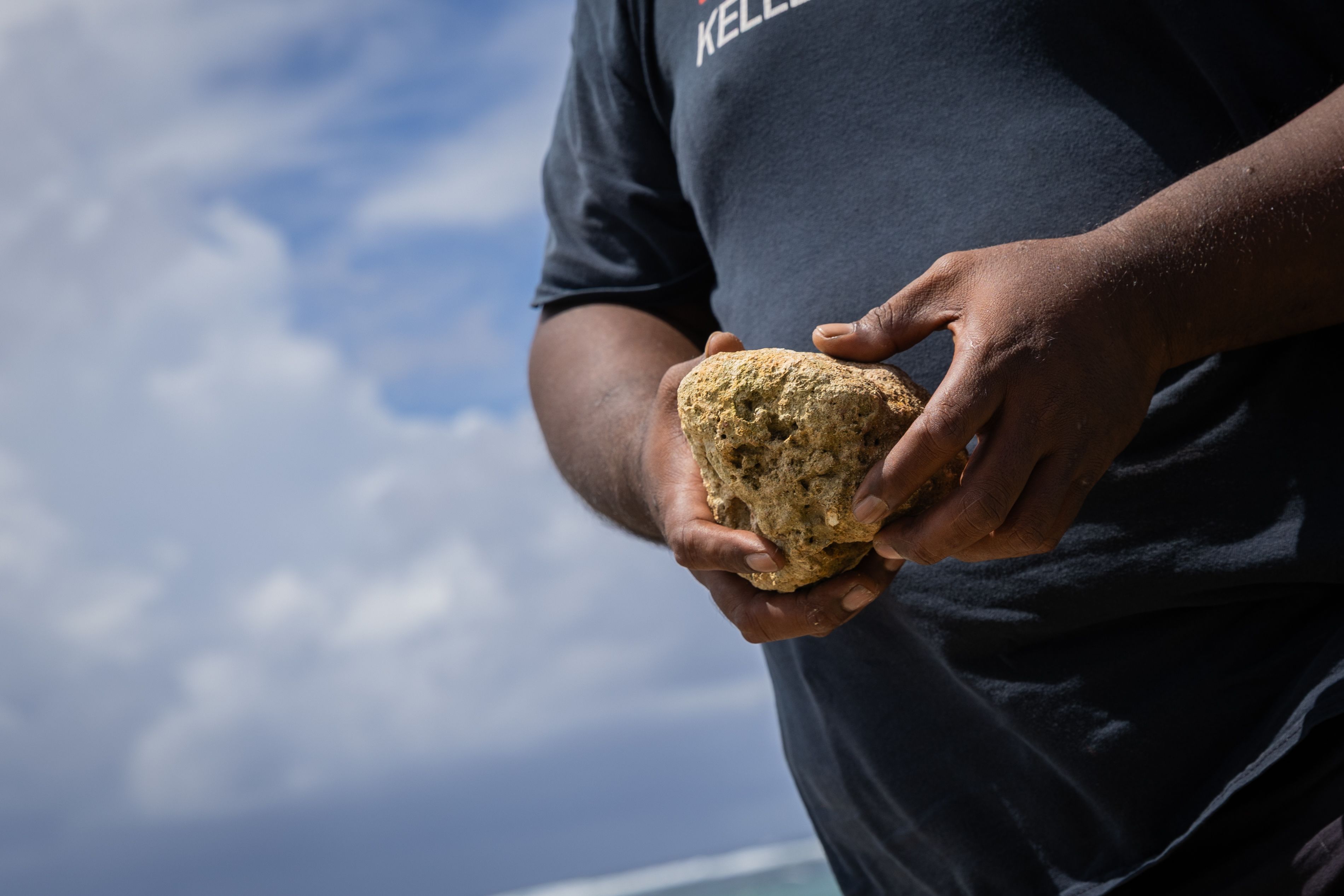 Coral in a man's hands. 