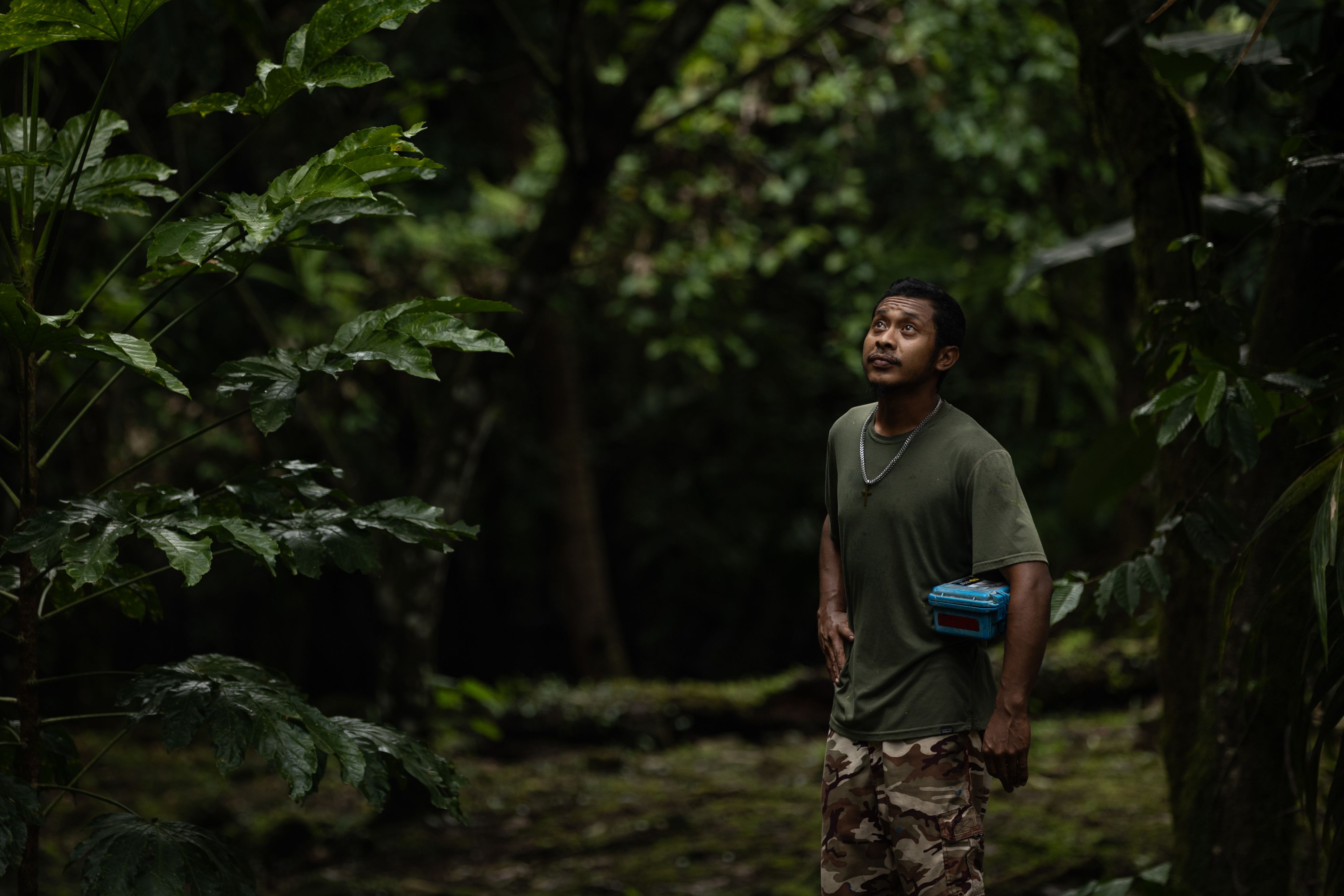 A man standing in a green forest looking up at the trees. 